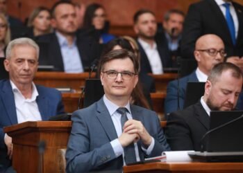 “I counted 342 people at our meeting and 6 robots”: Progressives on the assessment of the Archives of Public Meetings on the number of citizens at yesterday’s meeting – Politics