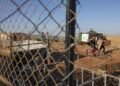 Zionist entity conducting ethnic cleansing in West Bank: Amnesty