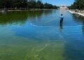 Swamp thing: Algae mess with Trump’s pool project