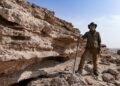 Kuwait steps up efforts to combat desertification
