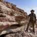 Kuwait steps up efforts to combat desertification