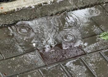 Rain and thunderstorms in most parts of Kyrgyzstan – weather forecast for June 3