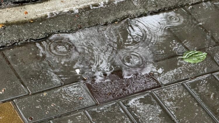 Rain and thunderstorms in most parts of Kyrgyzstan – weather forecast for June 3