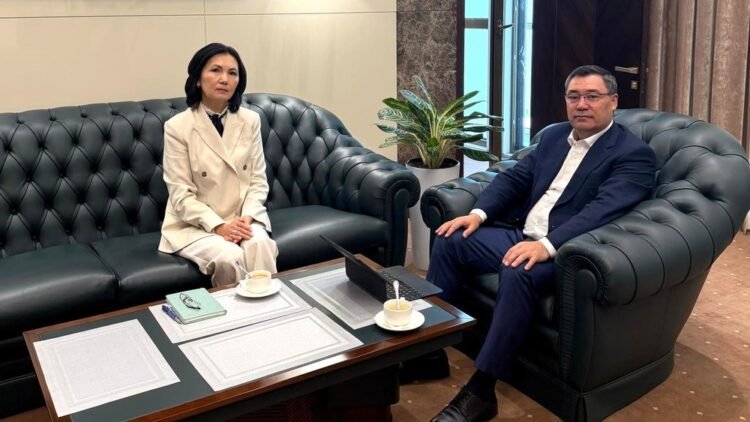 President Sadyr Japarov received the President of the Kyrgyz Chess Union Aida Salyanova
