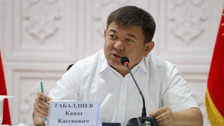 In Kara-Suu, the transformation of 114 hectares was stopped after a corruption scheme – the head of the State Committee for National Security Tabaldiev told the details