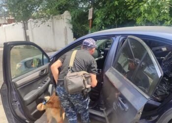 Drug fighters check visitors and cars near Moldovanovka prisons