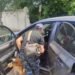 Drug fighters check visitors and cars near Moldovanovka prisons