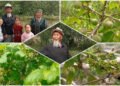 Life in the regions: 90-year-old Beishenaly Mamytbekov from Ak-Tala has been gardening for 26 years, growing fruits and berries from seeds