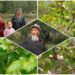 Life in the regions: 90-year-old Beishenaly Mamytbekov from Ak-Tala has been gardening for 26 years, growing fruits and berries from seeds