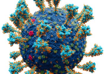 COVID-19 leaves behind long-term, hidden, chronic heart damage