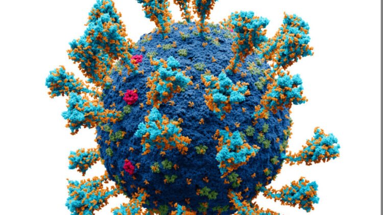 COVID-19 leaves behind long-term, hidden, chronic heart damage