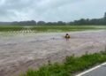 00:35USAFloods sweep away fawn: Fire brigade acts immediately152223
