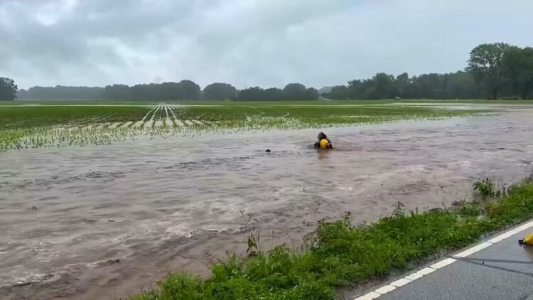 00:35USAFloods sweep away fawn: Fire brigade acts immediately152223