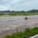 00:35USAFloods sweep away fawn: Fire brigade acts immediately152223