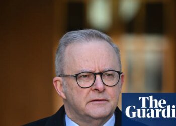 Anthony Albanese says Australia’s first mainland case of deadly H5N1 bird flu ‘concerning’ | Australia news