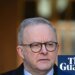 Anthony Albanese says Australia’s first mainland case of deadly H5N1 bird flu ‘concerning’ | Australia news