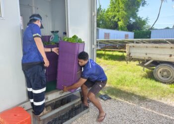 China-Nauru Ties Benefit Local Lives
