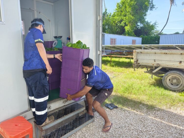 China-Nauru Ties Benefit Local Lives