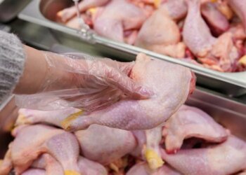 Chicken and eggs: why prices are falling on the Moroccan market