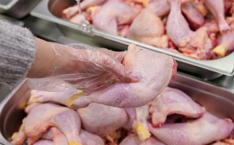 Chicken and eggs: why prices are falling on the Moroccan market