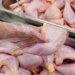 Chicken and eggs: why prices are falling on the Moroccan market