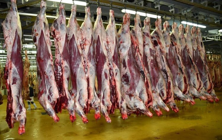 Prices of red meats continue to rise in Casablanca, tomatoes and seasonal fruits falling