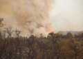 Forest fires: ANEF places 20 provinces on red alert
