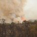 Forest fires: ANEF places 20 provinces on red alert