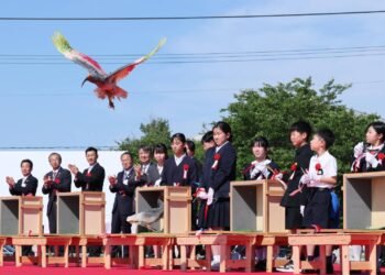 Crested ibises released into wild in quake-hit Ishikawa