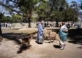 Benefits for foreign tourists spark debate in Japan