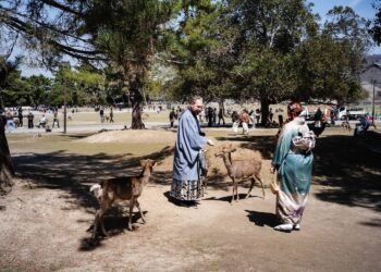 Benefits for foreign tourists spark debate in Japan