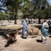 Benefits for foreign tourists spark debate in Japan