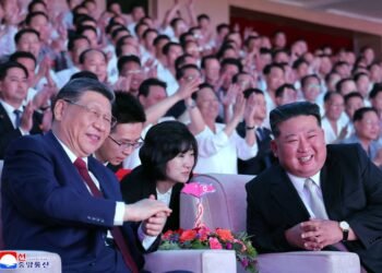 What was left unsaid may be biggest takeaway from Xi-Kim summit