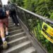 Why more bears are entering urban areas
