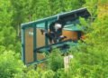 Zoo-born golden eagle released into wild for first time in Japan