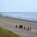 Europe’s refugee population stabilizes after decade of growth, study shows