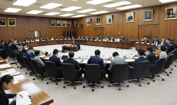 Bill easing referendum procedures for constitutional amendments clears Lower House