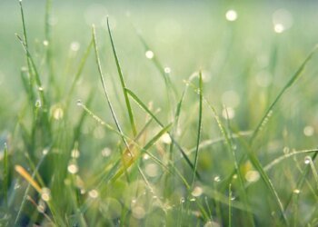 Weather in Ukraine on June 14: rains, thunderstorms and temperature up to 26°