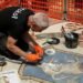 What did you do with the testers? Italians are in awe of the restoration of the famous mosaic