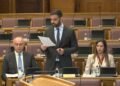 Radulović: Montenegrin navigation in the process leading to its shutdown, Tivat-Jaz boulevard functional for the summer season