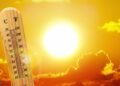 Al-Riyadh newspaper | The heat wave continues in the eastern region