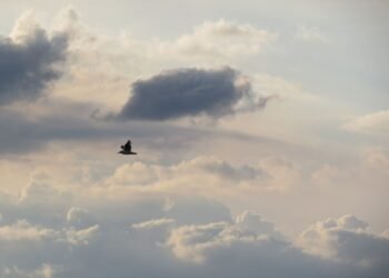 Weather & Traffic: Wednesday 10 June: Once again, a little bit of everything