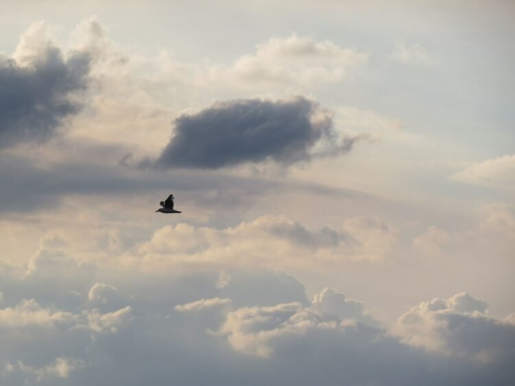 Weather & Traffic: Wednesday 10 June: Once again, a little bit of everything