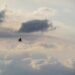 Weather & Traffic: Wednesday 10 June: Once again, a little bit of everything