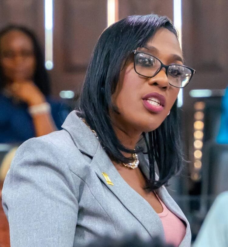 THA sets budget date – CNC3