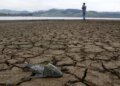 4-minute showers and watering gardens at dawn: urgent measures requested by the authorities to confront the El Niño phenomenon in the Valley