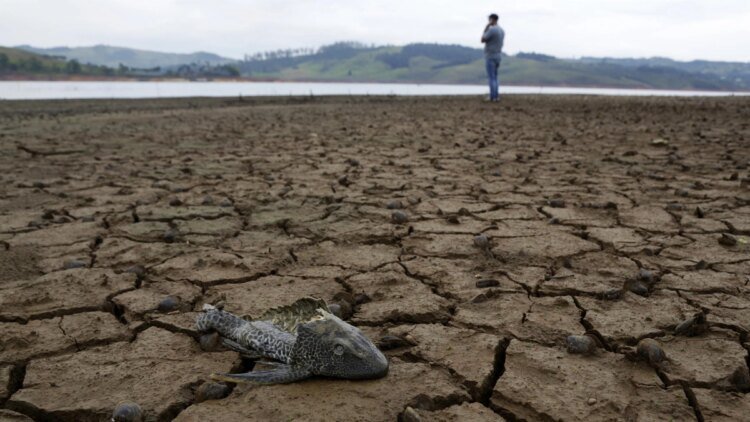 4-minute showers and watering gardens at dawn: urgent measures requested by the authorities to confront the El Niño phenomenon in the Valley