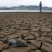 4-minute showers and watering gardens at dawn: urgent measures requested by the authorities to confront the El Niño phenomenon in the Valley