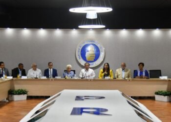 National Committee of the PRM will decide the method of electing authorities