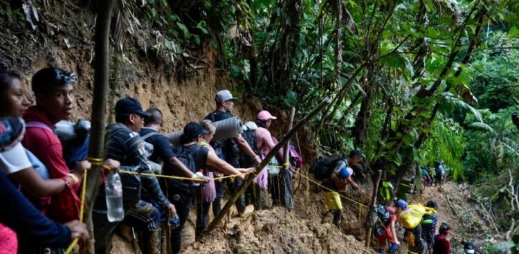 Colombia: Network accused of laundering some US$29 million for migrant smuggling through the Darién falls